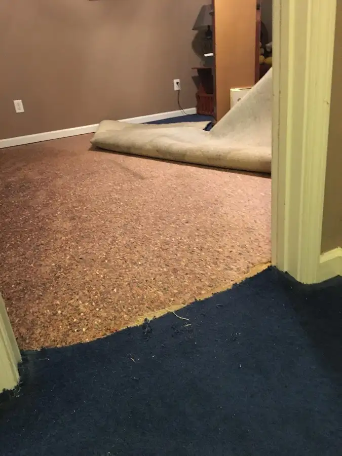 Carpet pad removal revealing water damage during Drying & Dehumidification in Westchester